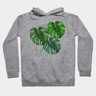 Monstera leaves - blue Hoodie